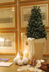 Savoy Hotel 